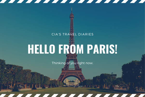 View from the Eiffel Tower